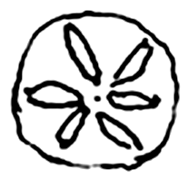 rouelle à six rayons
